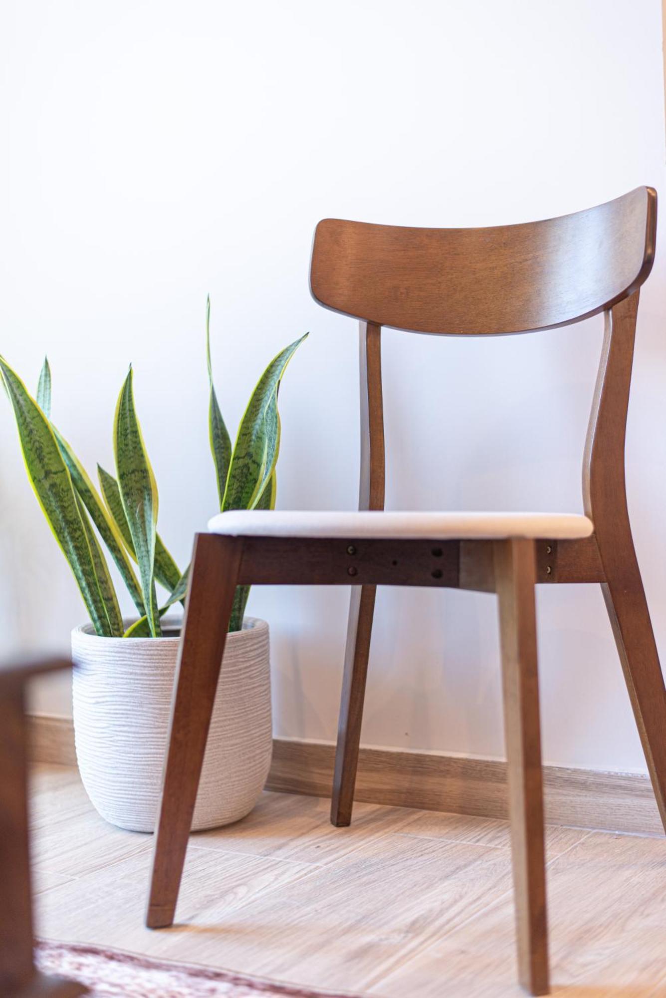 Kanela Apartment Oinofyta Dış mekan fotoğraf